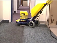 Commercial Carpet Cleaning Olympia