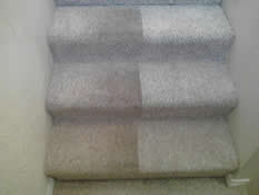 Grossbusters Carpet Cleaning Olympia