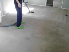 Grossbusters Carpet Cleaning in Olympia WA